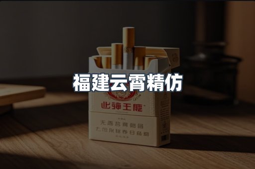 福建云霄精仿